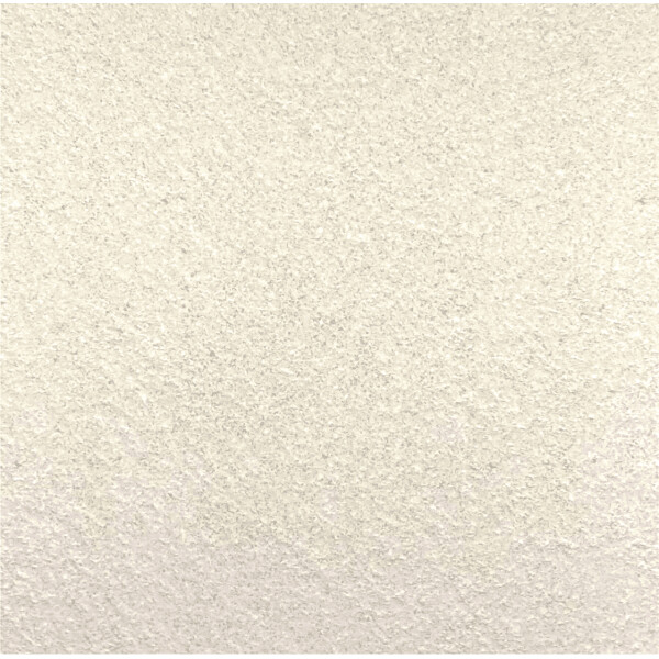 30X30 ANTIDERAPANT BIANCO R12 BAINS 19A01&19A02