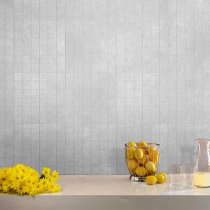 30X30 PARADA MOSAIC GRIS CLAIR 4.8X4.8 - REF GEN