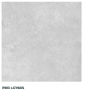 60X60 PARADA GRIS CLAIR R11 - REF GENERIQUE