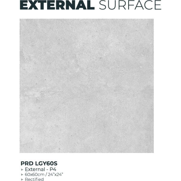 60X60 PARADA GRIS CLAIR R11 - REF GENERIQUE