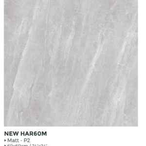 60X60 NEW PORT GRIS MAT - REF GENERIQUE