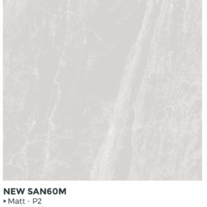 60X60 NEW PORT GRIS CLAIR MAT - REF GENERIQUE