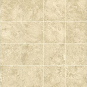 60X60 TIMELESS CLASSIC BEIGE MAT - REF GENERIQUE