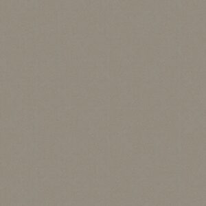 60X60 U4P4E3C2 PROYECCION BRONCE