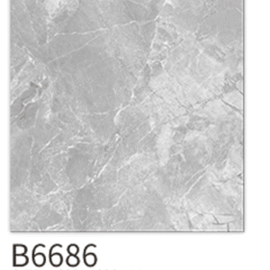 60X60 POLI FUME GRIS - REF GENERIQUE