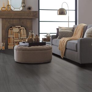 20X120 PARQUET GRIS R10 2BAINS 3.12M2 LOT664