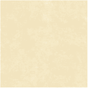 60X60 PRIX BOUCLIER 25 JAUNE