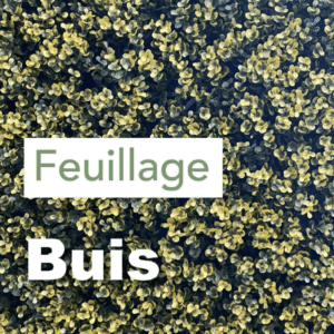100X100 FEUILLAGE BUIS