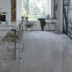 60X60 POLI GRIS -  REF GENERIQUE